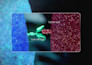 do 3d medical animation 3d anatomy explainer animation 3d surgery animation